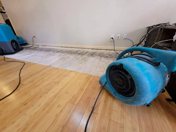 Professional Water Damage Repair technician working in West Orange, NJ